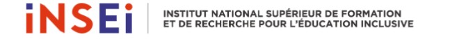 Logo INSEI